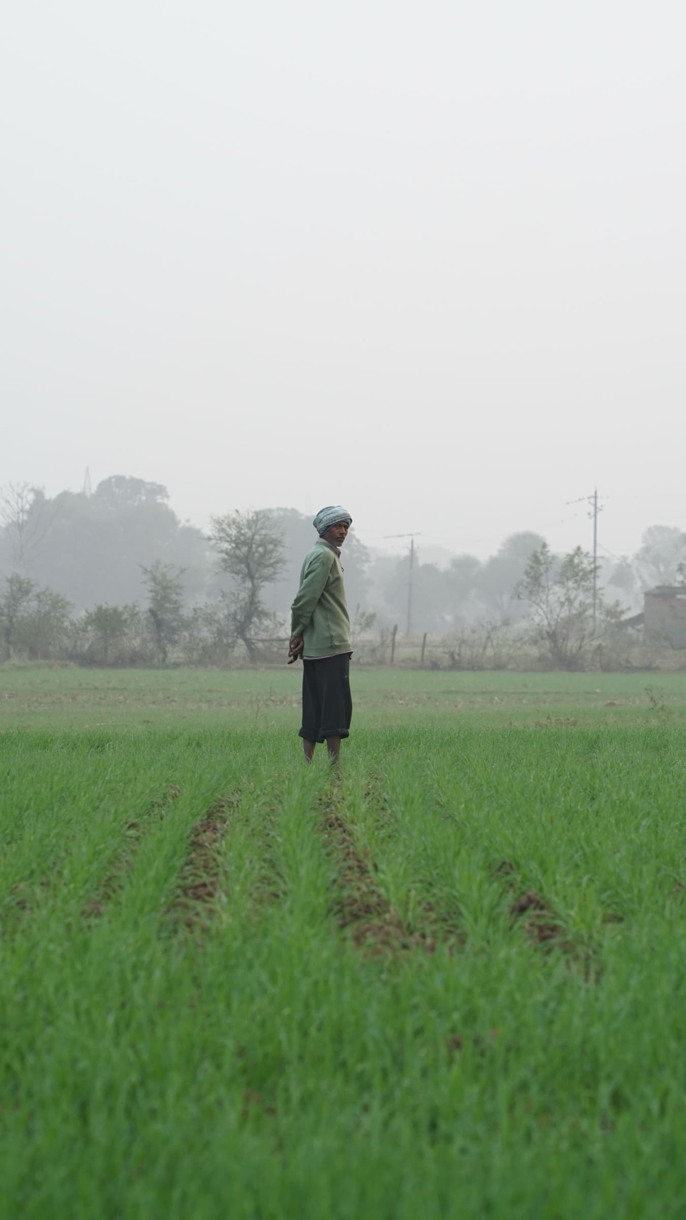 A farmer standing in a misty field at first light