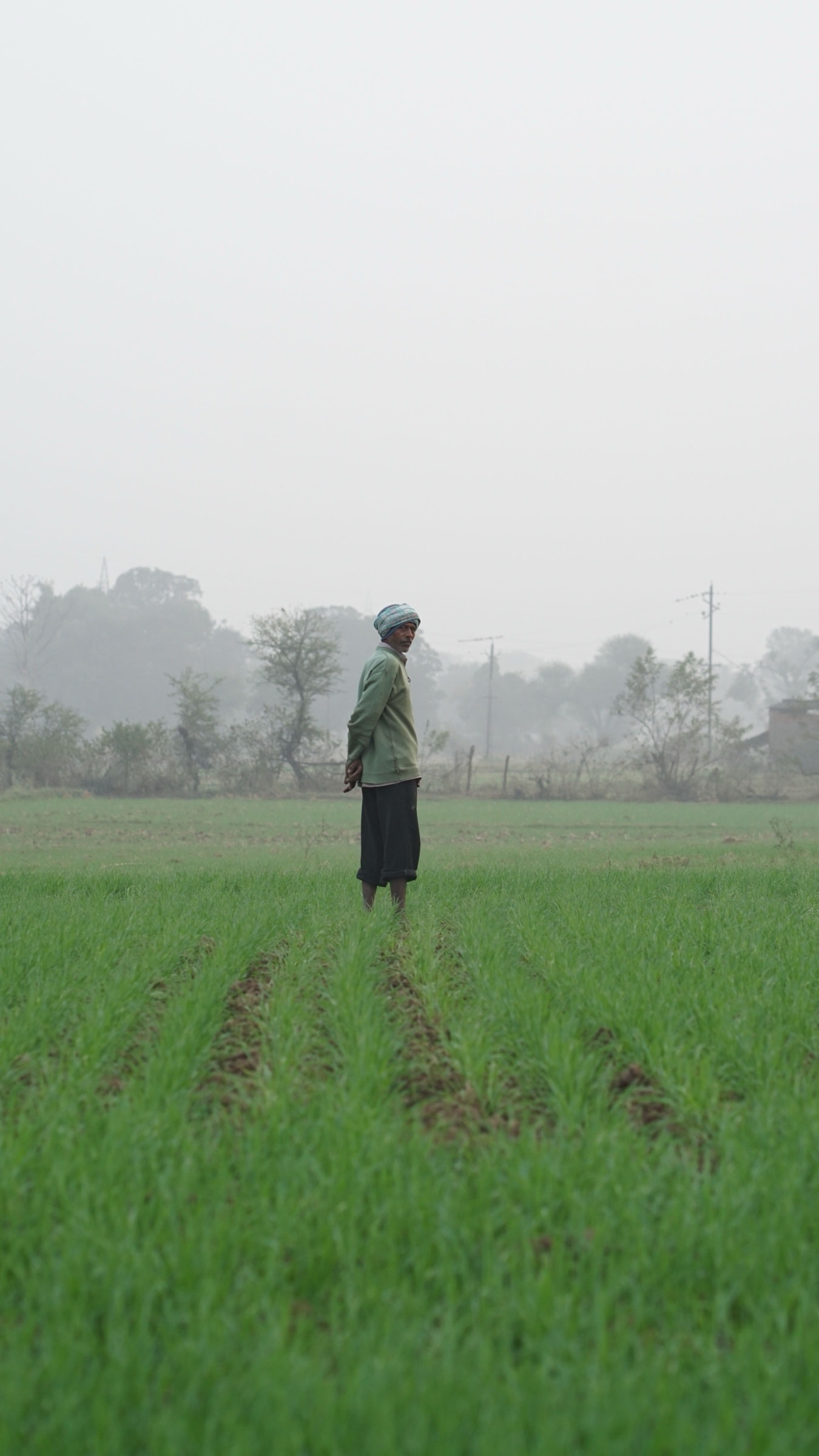 A farmer standing in a misty field at first light